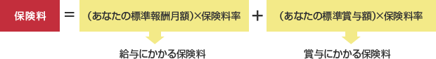 賞与のある月の保険料図