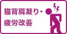 ストレッチ動画